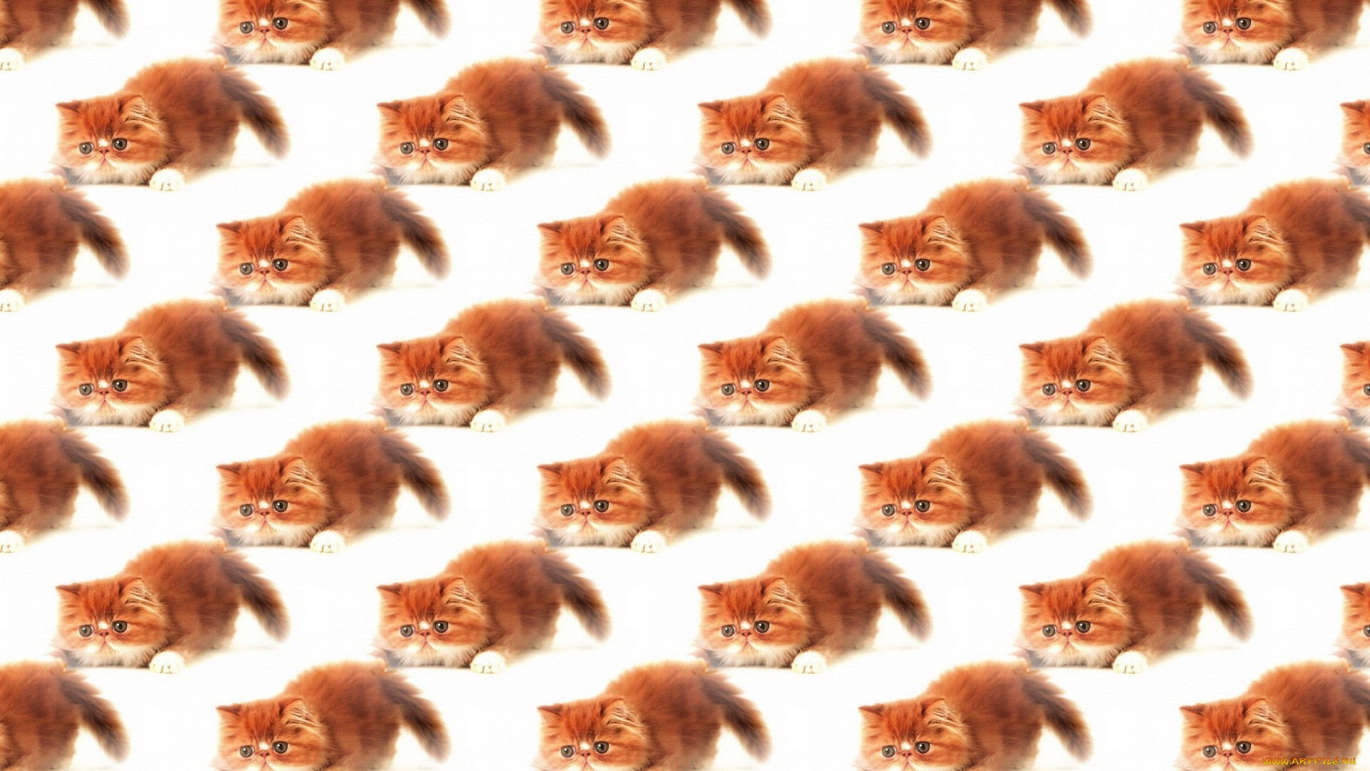 , , , , , , 